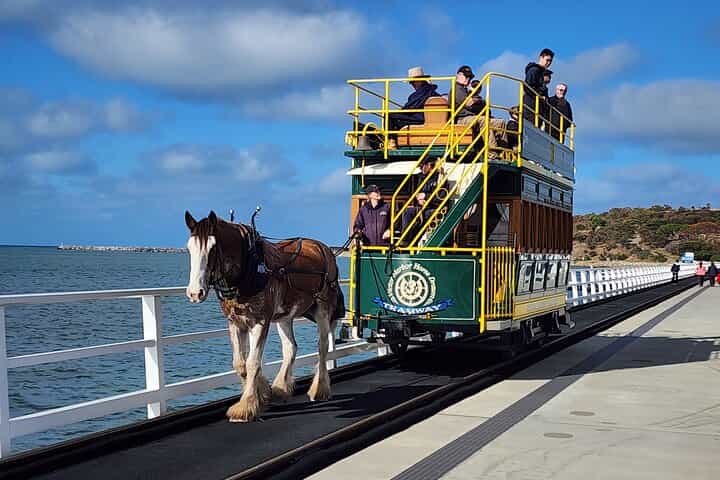 Victor Harbor and Fleurieu Coast Day Tour with d’Arenberg Tasting