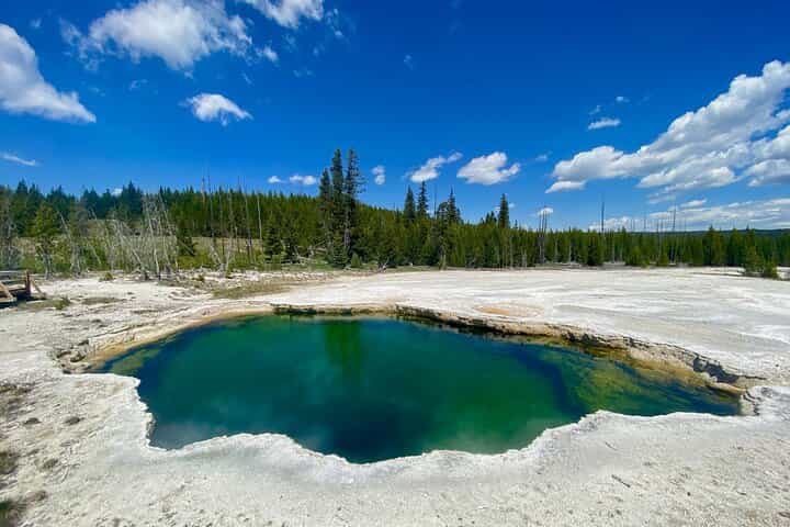 Half Day Private Yellowstone Geyser Basin Tour