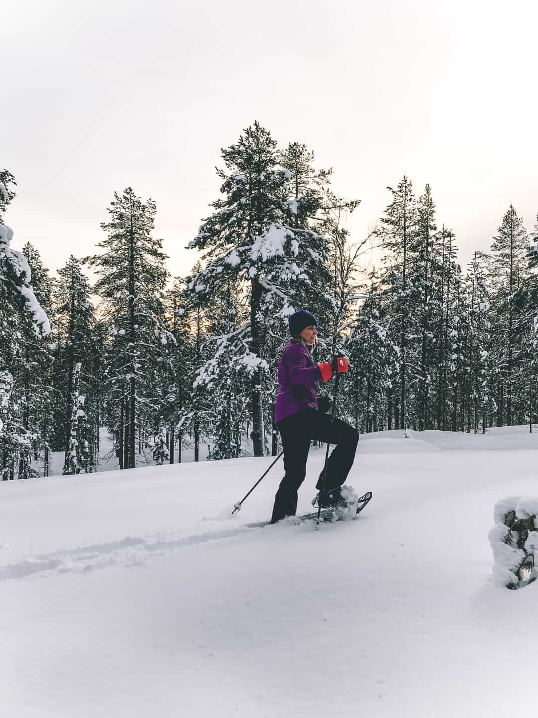 Private Snowshoeing Tour In Pyhätunturi