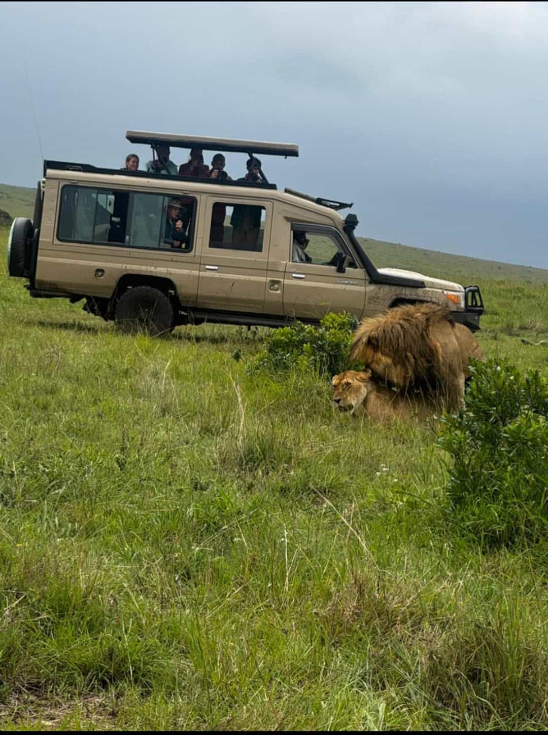 5 Days Maasai Mara,Lake Nakuru And Lake Naivasha