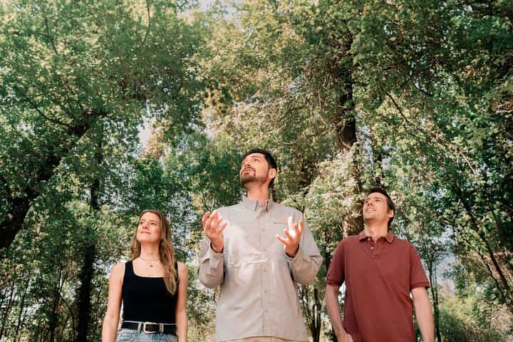 Visita Guiada Premium