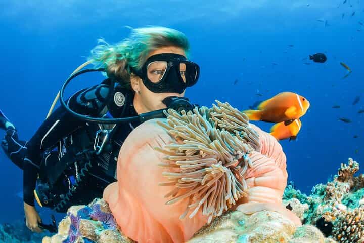 Dubai Scuba Diving Adventure in Dubai