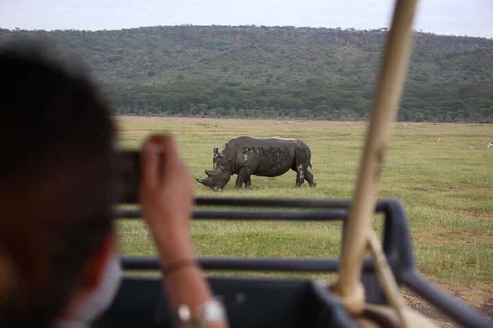 1-Day Lake Nakuru Tour