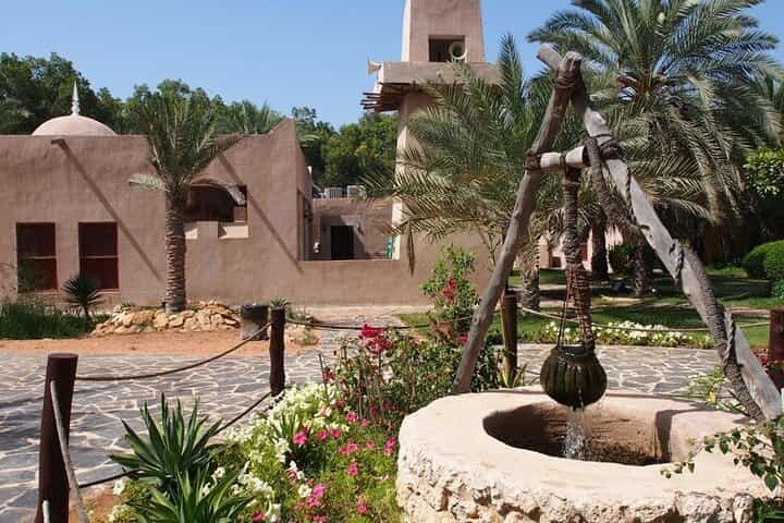 Private Full Day City Tour in Abu Dhabi - From Abu Dhabi