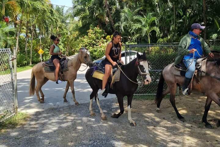 Horseback Riding, Zipline, Monkey, and Sloth Adventure in Roatan