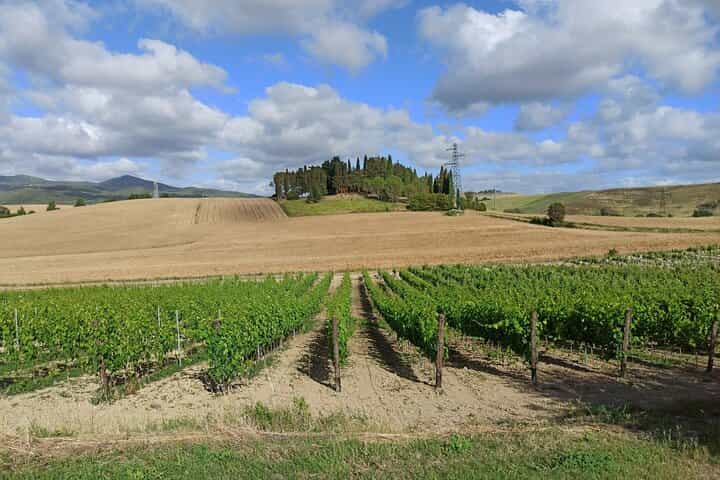 Siena-Florence Transfer with Chianti Wine Tasting & Scenic Drive