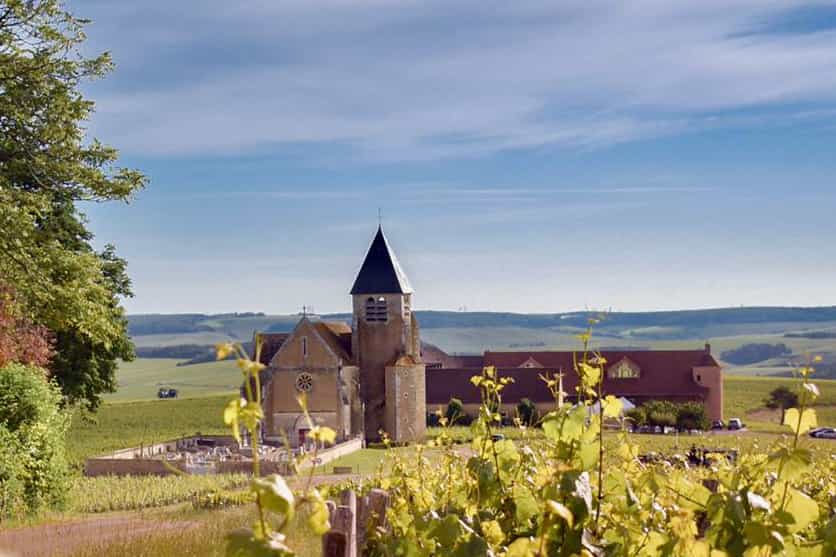 Private Burgundy 3 Domaines Chateau Pommard Chablis 15 Wines Trip from Paris.