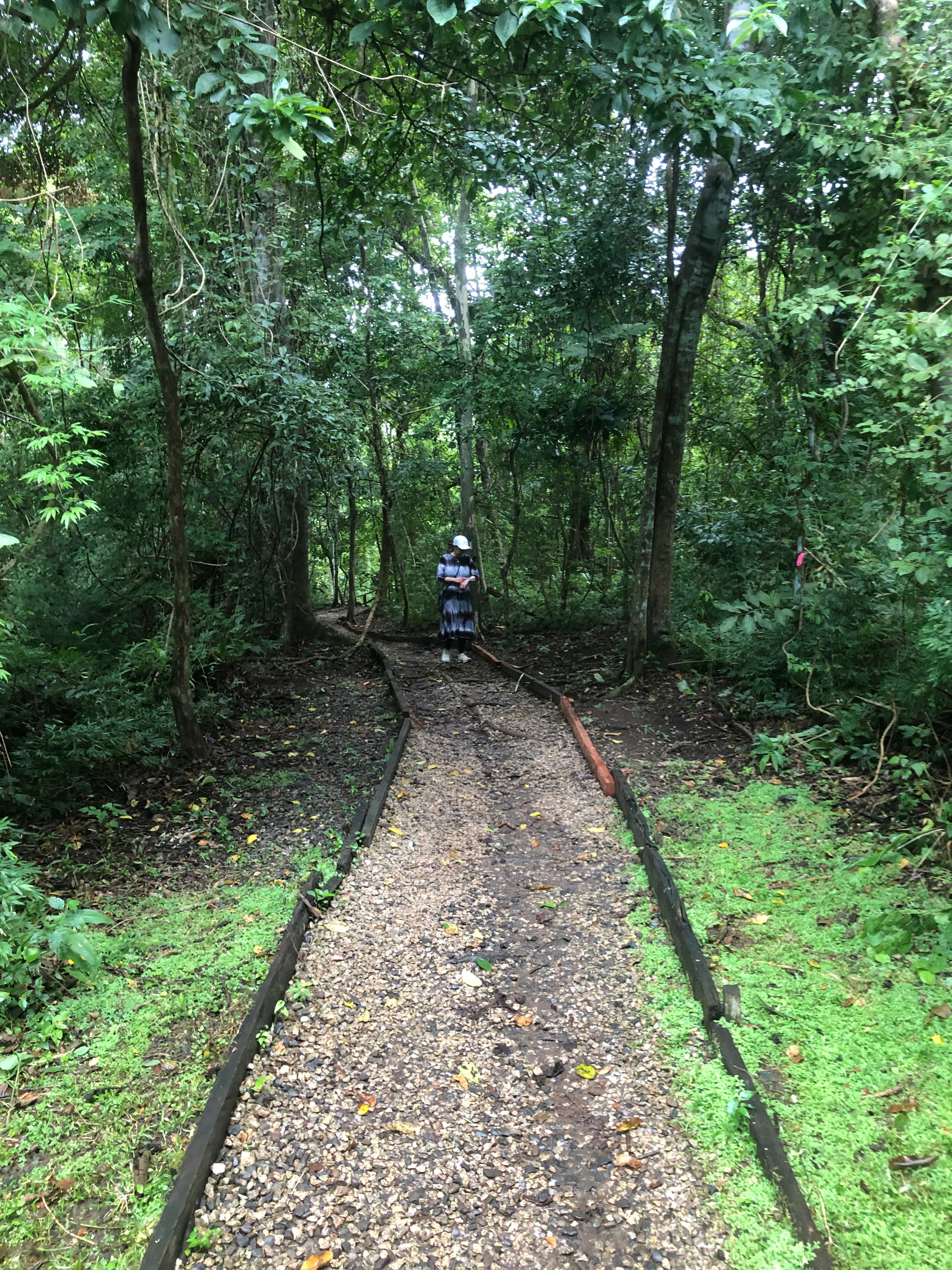 Metropolitan Park Hiking Ecotour