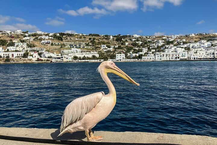The Real Mykonos: A Private Tour by Locals