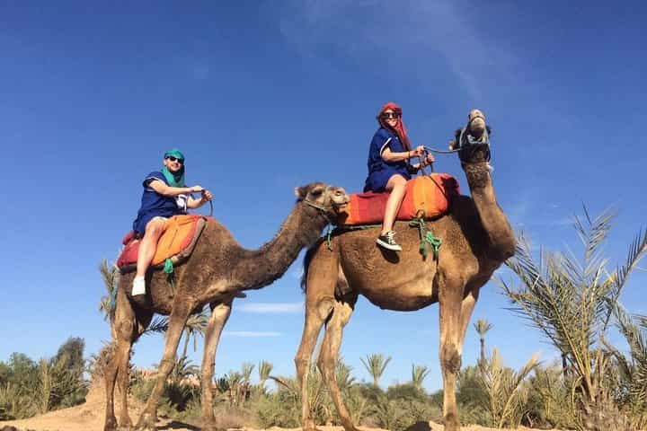 Camel Ride through the Palm Grove of Marrakech