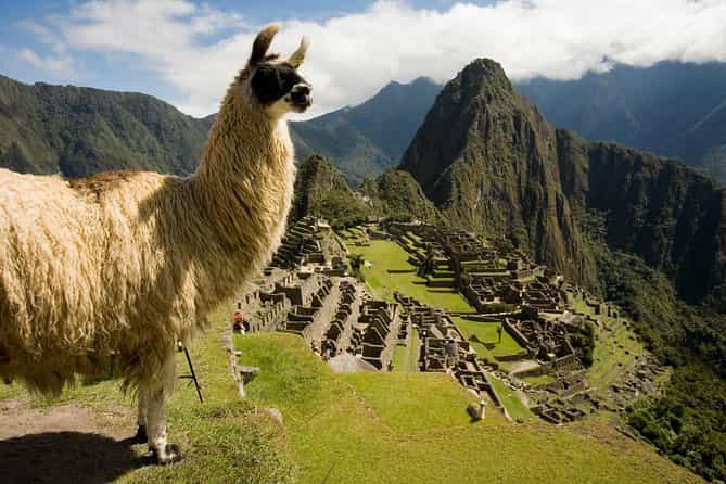 Machu Picchu Private Guided Tour from Aguas Calientes