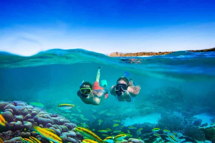 A Day Cham Island Snorkeling Activity 