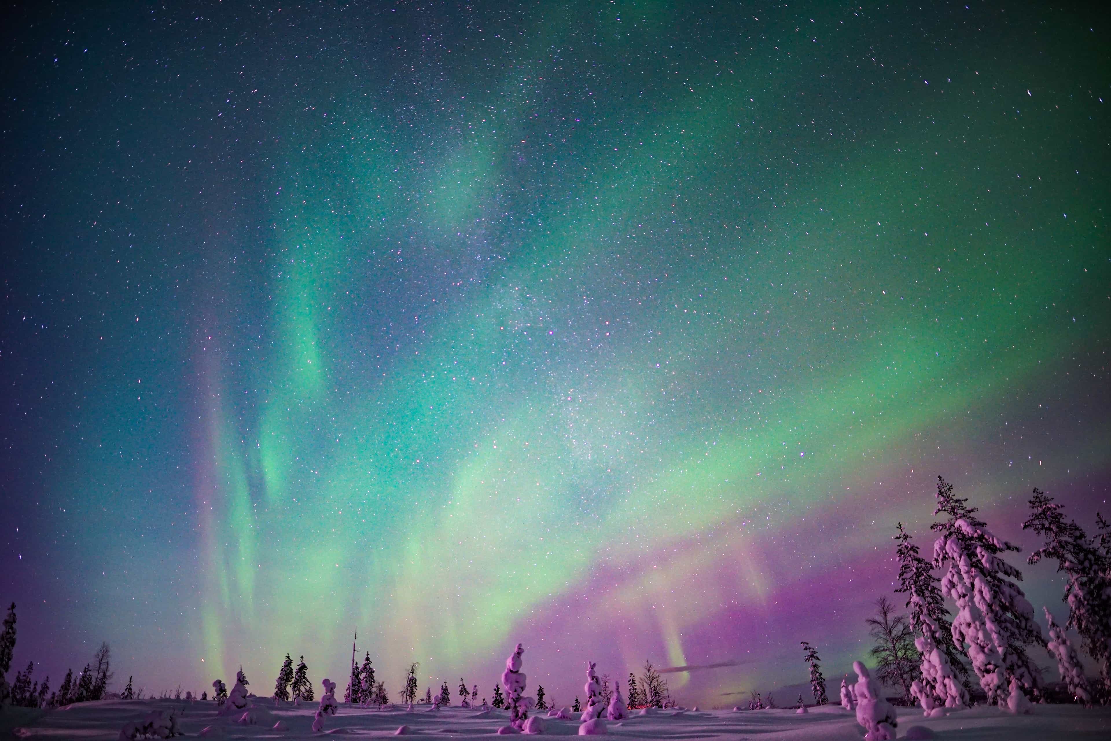 Northern Lights Family-Friendly Snowmobile Safari