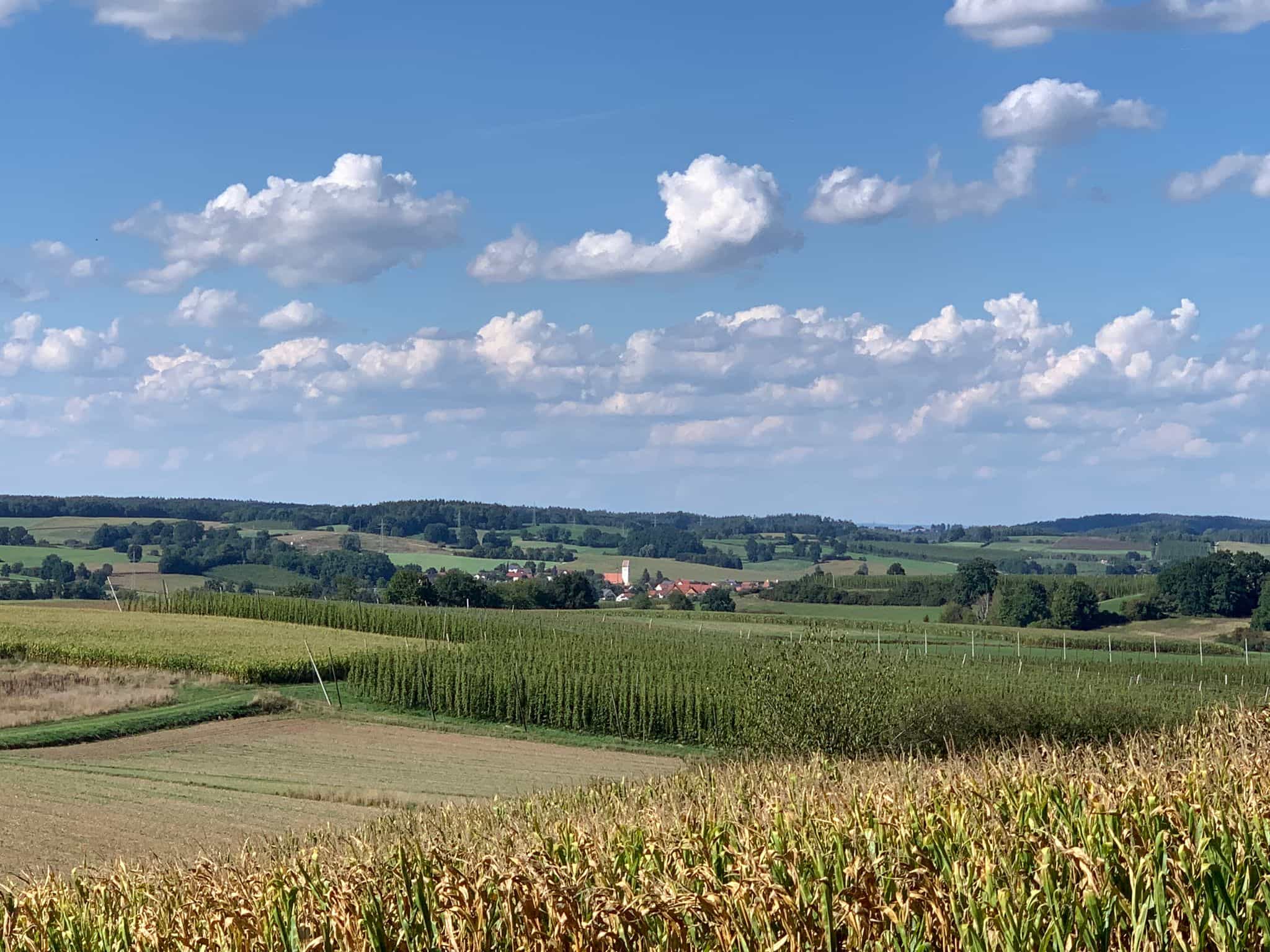 Cycling Tour Hallertau - Base Tour