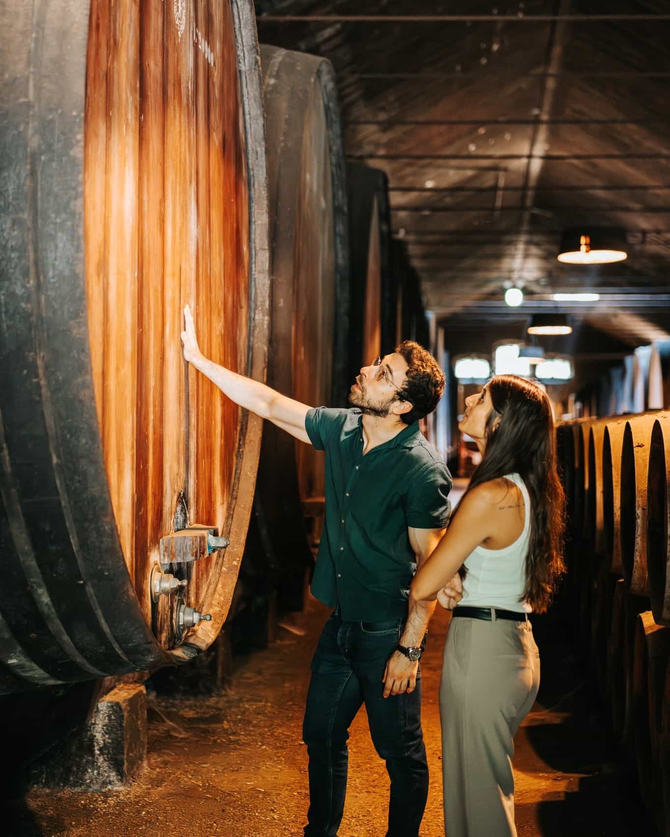 Arrábida & Sesimbra Private Wine Experience with 2 Wineries from Lisbon