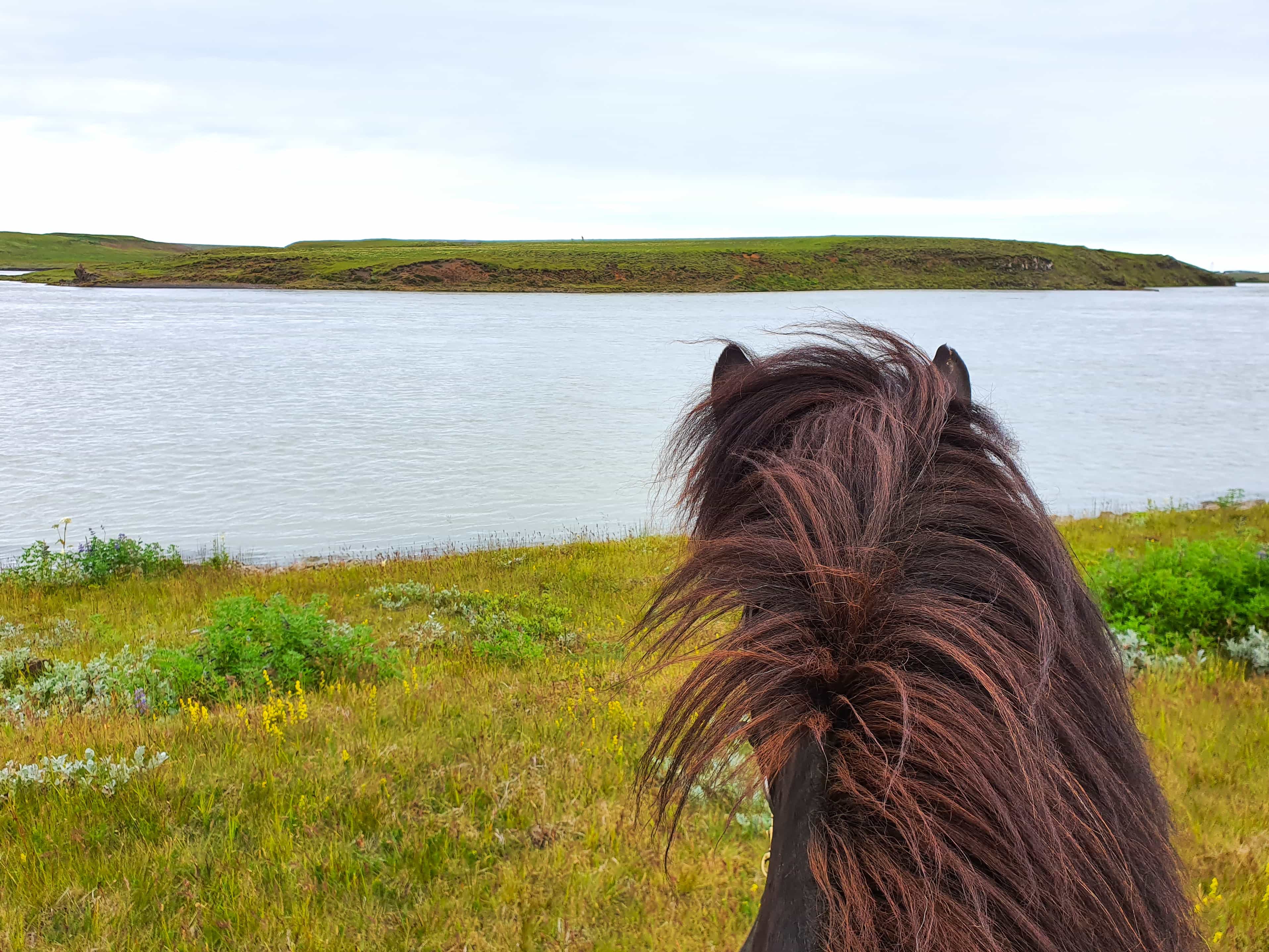 Private 2-Hour Horseback Riding Tour