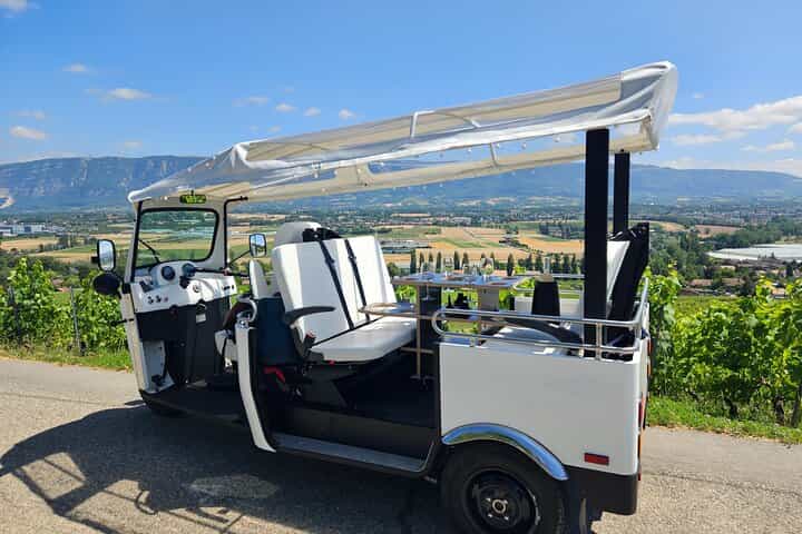Immersion in the Geneva vineyards by tuktuk with tasting