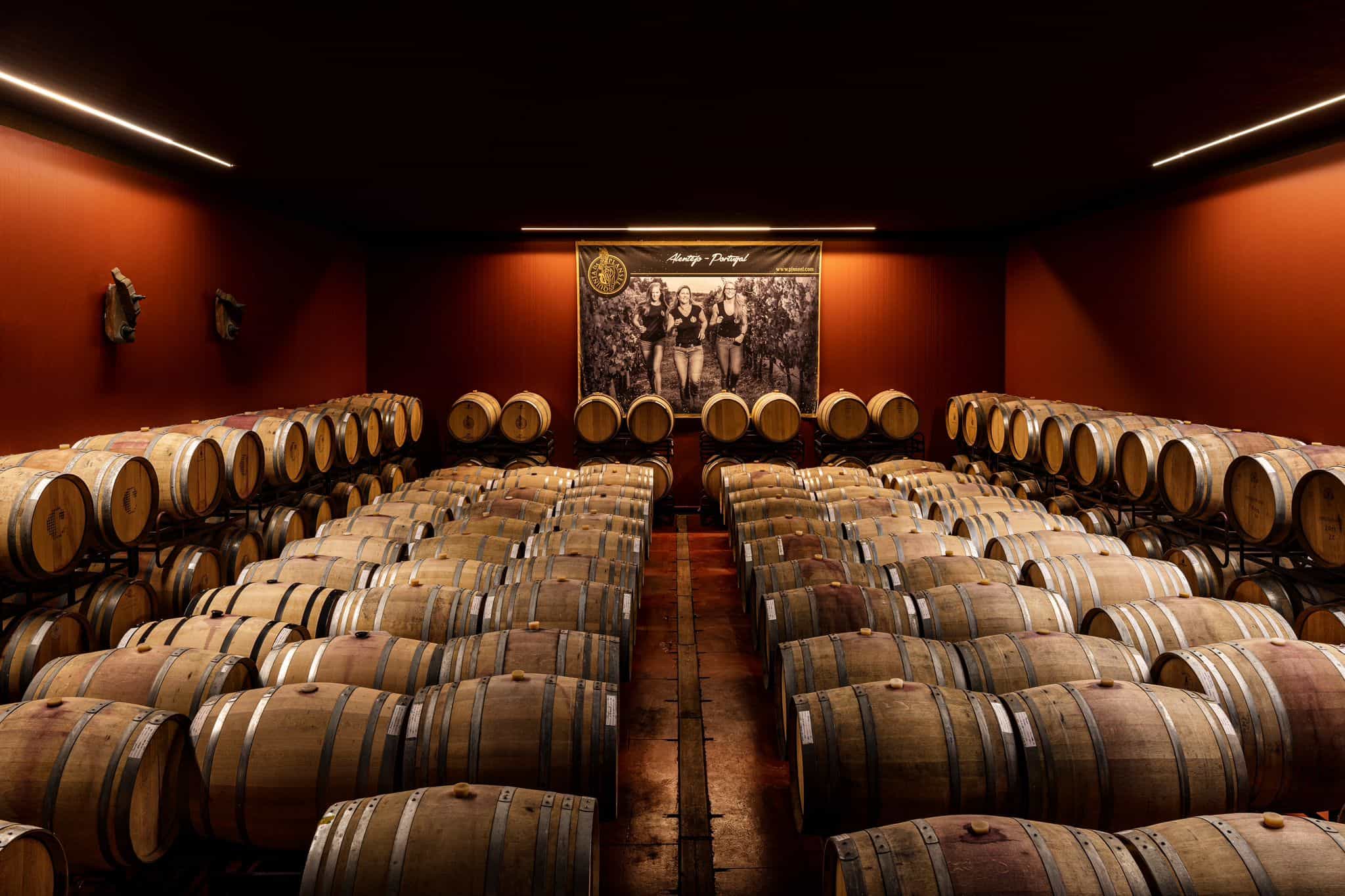 Évora or Montemor: Beekeeping, Chocolate factory, Wine tasting