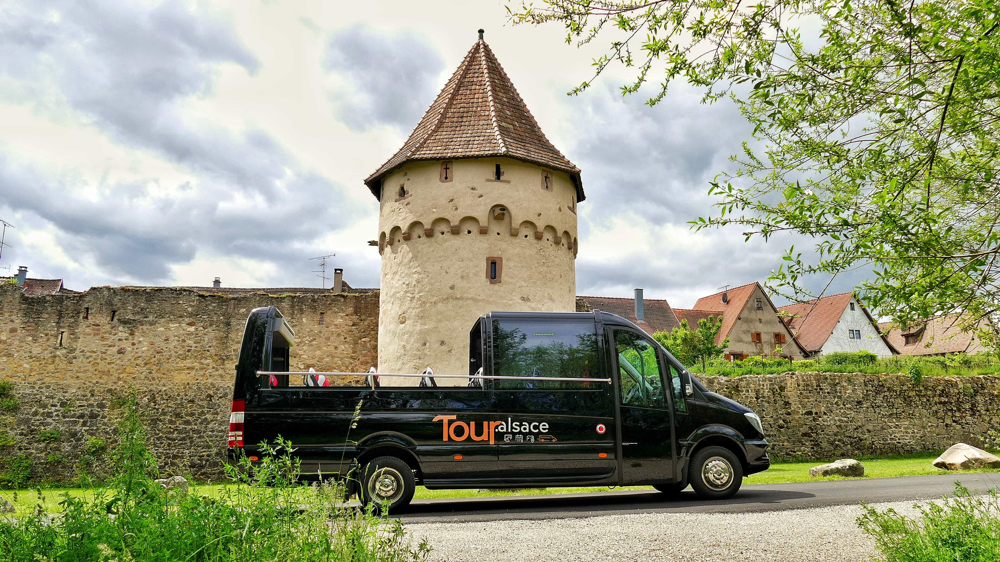 Depuis Strasbourg: Tour Perles du Vignoble