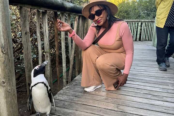 Pre Booked Tickets to Table Mountain, Penguins & Cape Point 