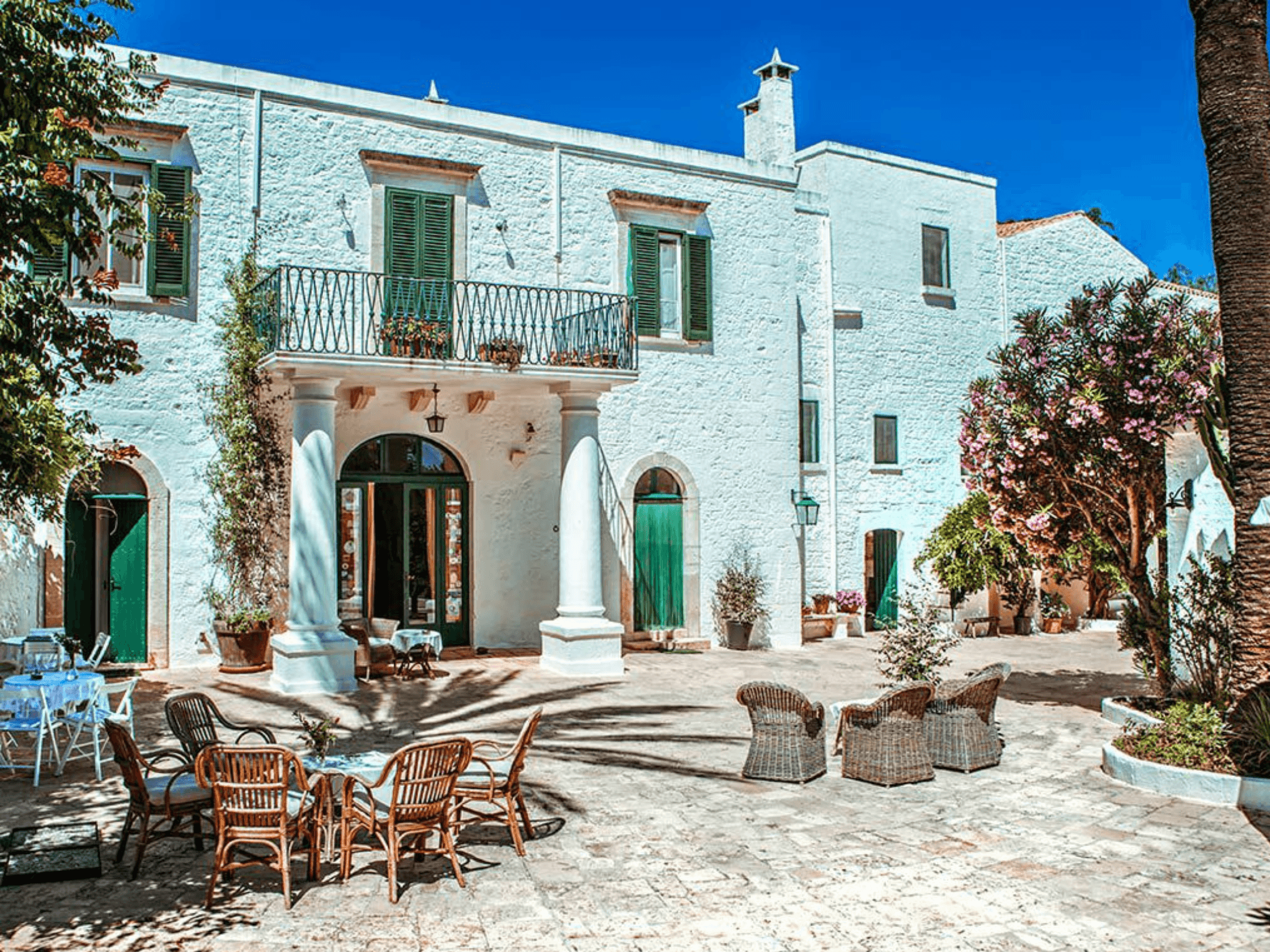 Olive Oil Tasting in Ancient Masseria in Ostuni