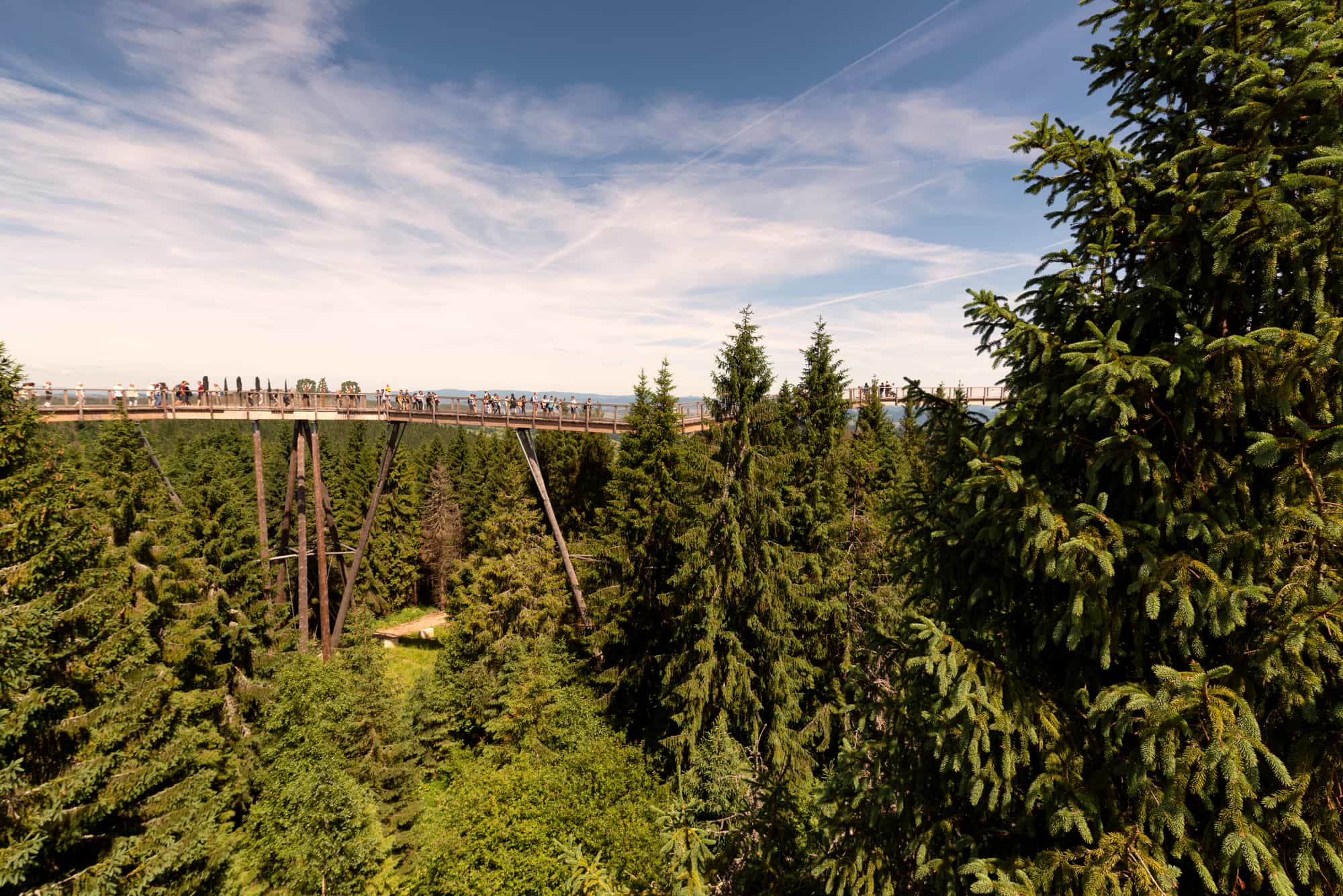 From Krakow: Slovakia Treetop Walk Bachledka Private Tour