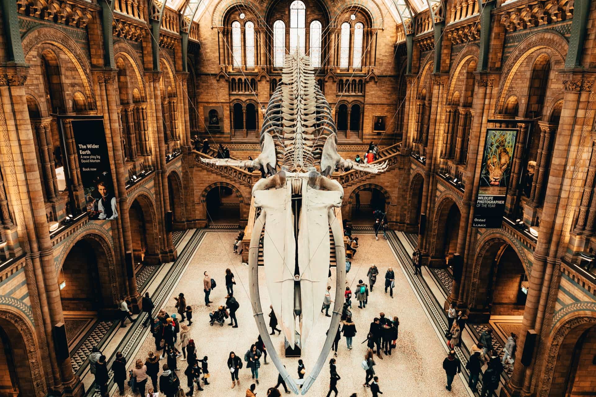 London: Natural History Museum In-App Audio Tour 