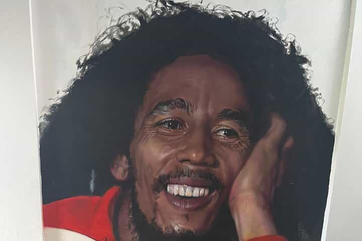 Private Bob Marley 9 mile & DunnsRiverFalls Tour from Montego Bay