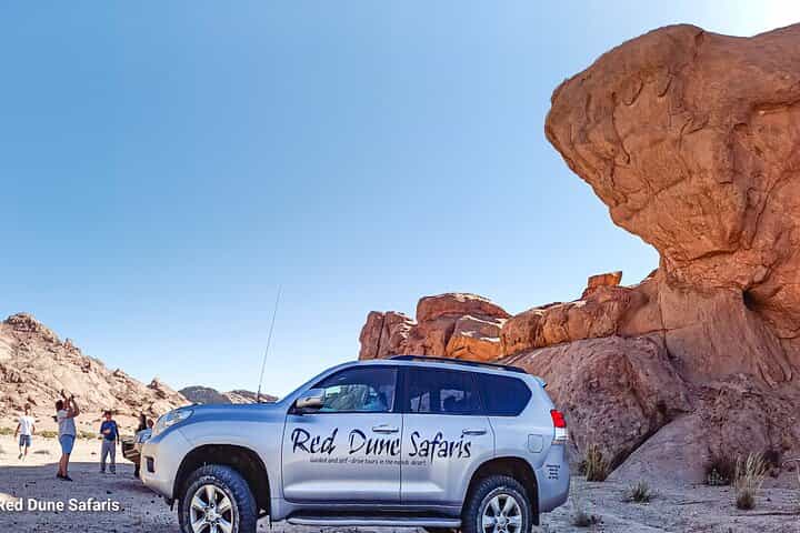 Shore Excursion- flamingos, dune 7, welwitschia, Swakopmund.