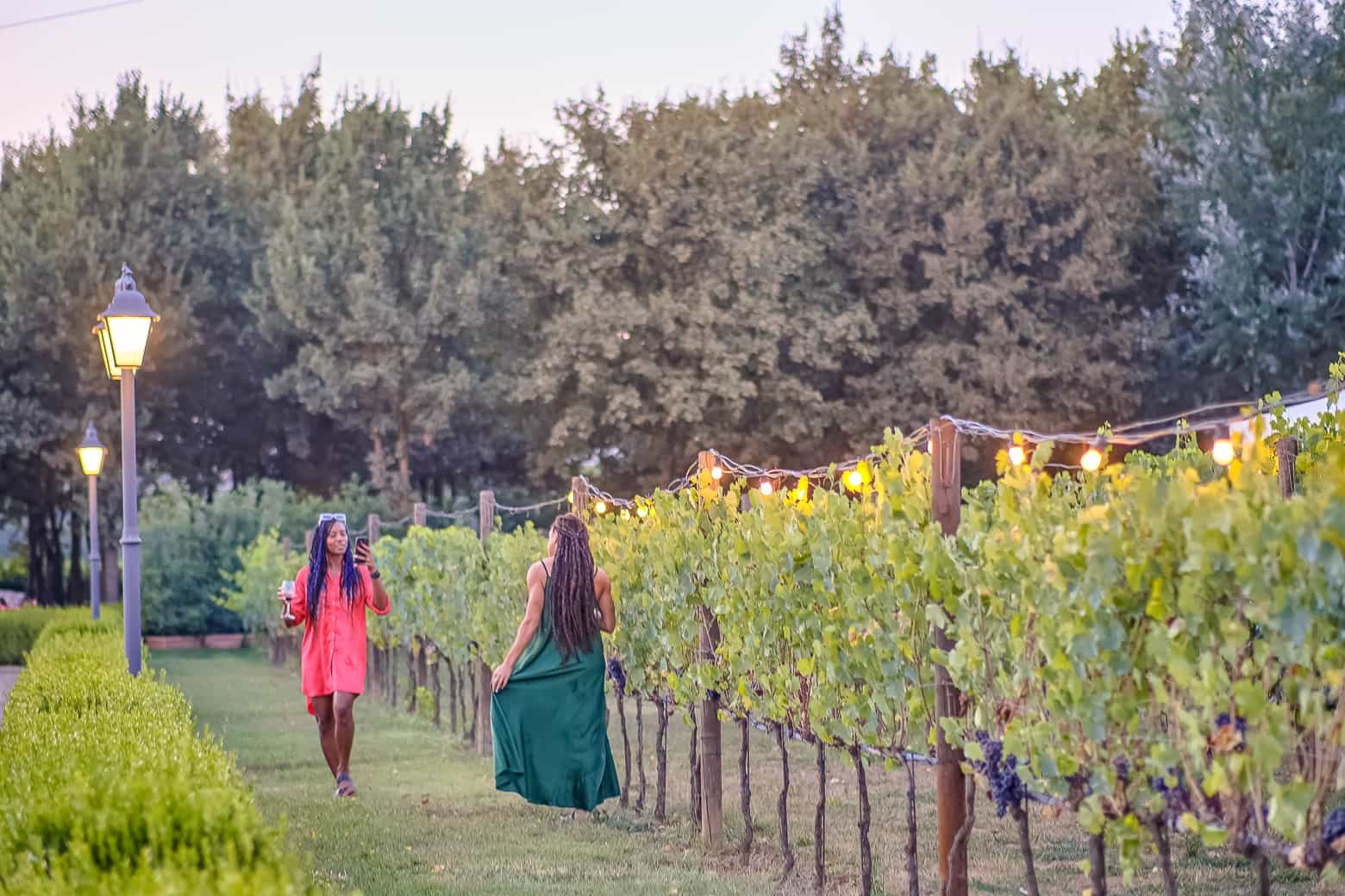 Small-Group Winery Tour with Tasting and Dinner in Chianti