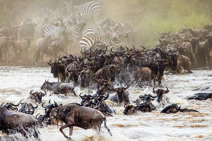 From Plains to Crater: 3-Day Mixed Safari in Northern Tanzania - 