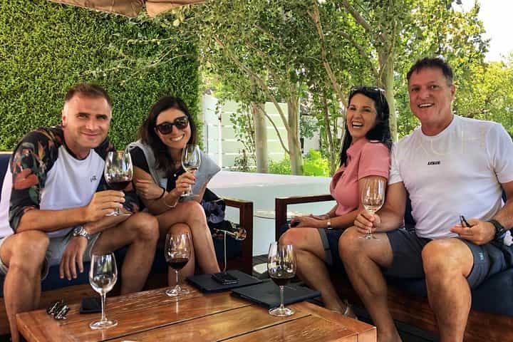 Wine Tasting, Cape Dutch Farm and Art Day Tour from Cape Town