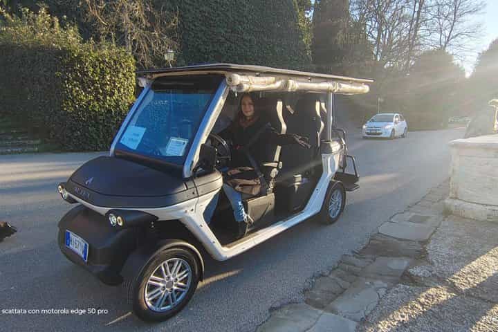 Wine Tasting on the Florentine Hills with Transfer Green