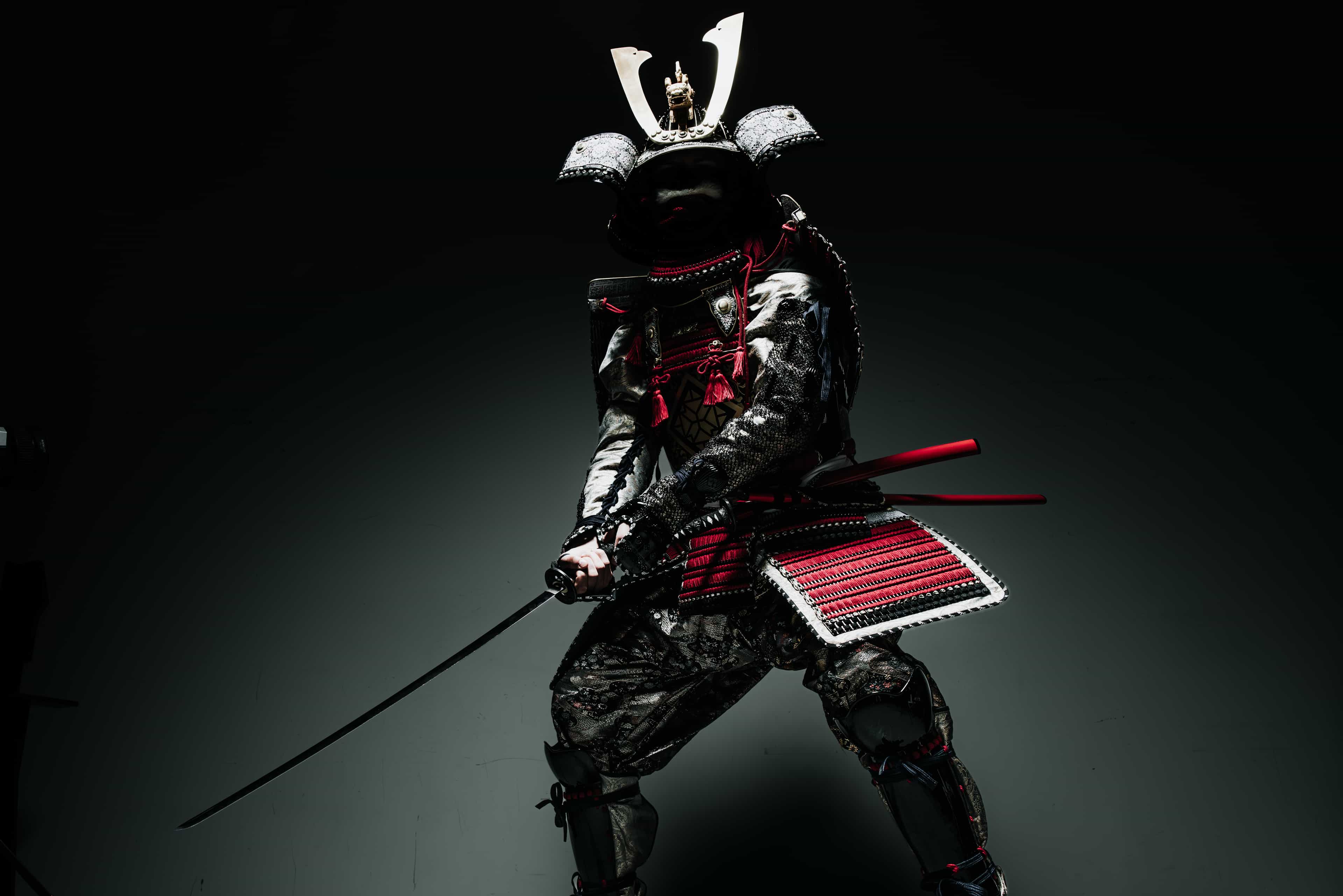 Kyoto Samurai Experience + Professional Photo Shoot