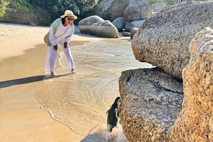 Half Day Adventure Penguin at Boulders Beach Tour