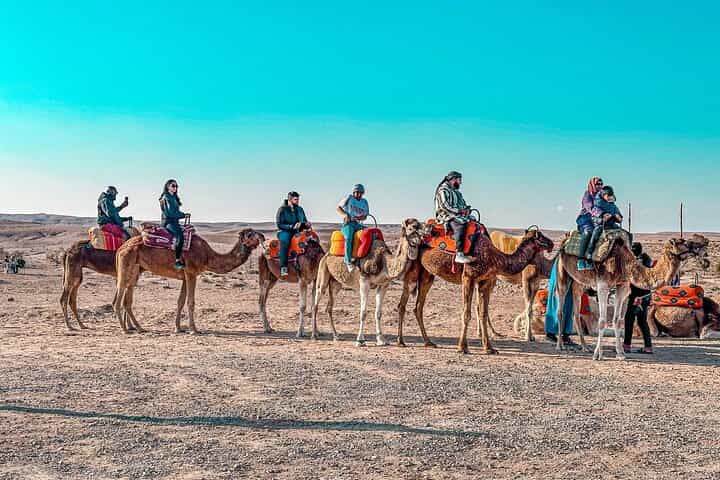Marrakech: Agafay Desert Dinner Show with Sunset Camel Ride