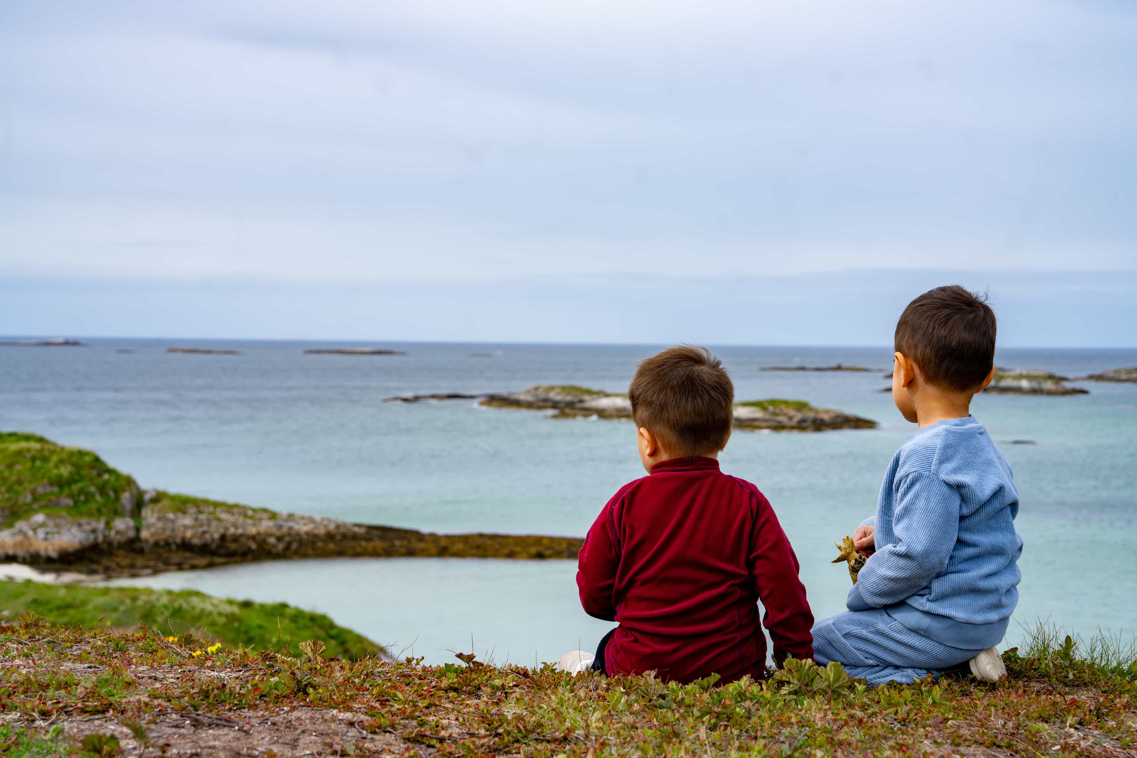 Fjordtour and sightseeing for cruiseship guests