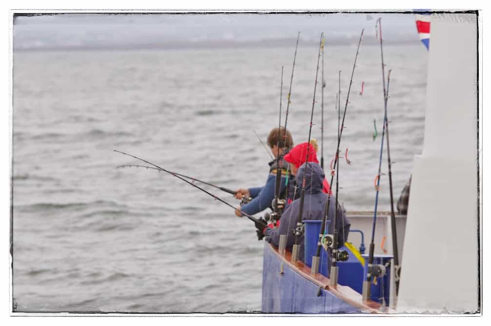 Sunset Fishing in Faxaflói Bay: 2.5-3 Hour Excursion