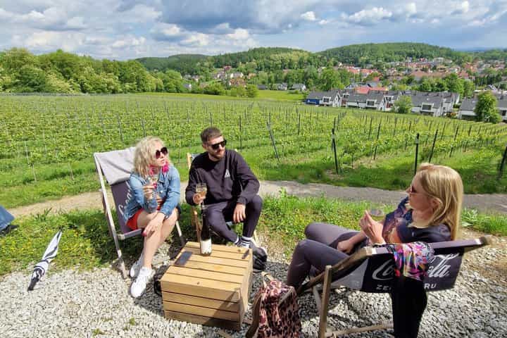 Private Wine Tasting at Vineyard From Krakow