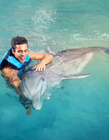 Dunn’s River Falls & Dolphin Cove Shore Excursions Ocho Rios