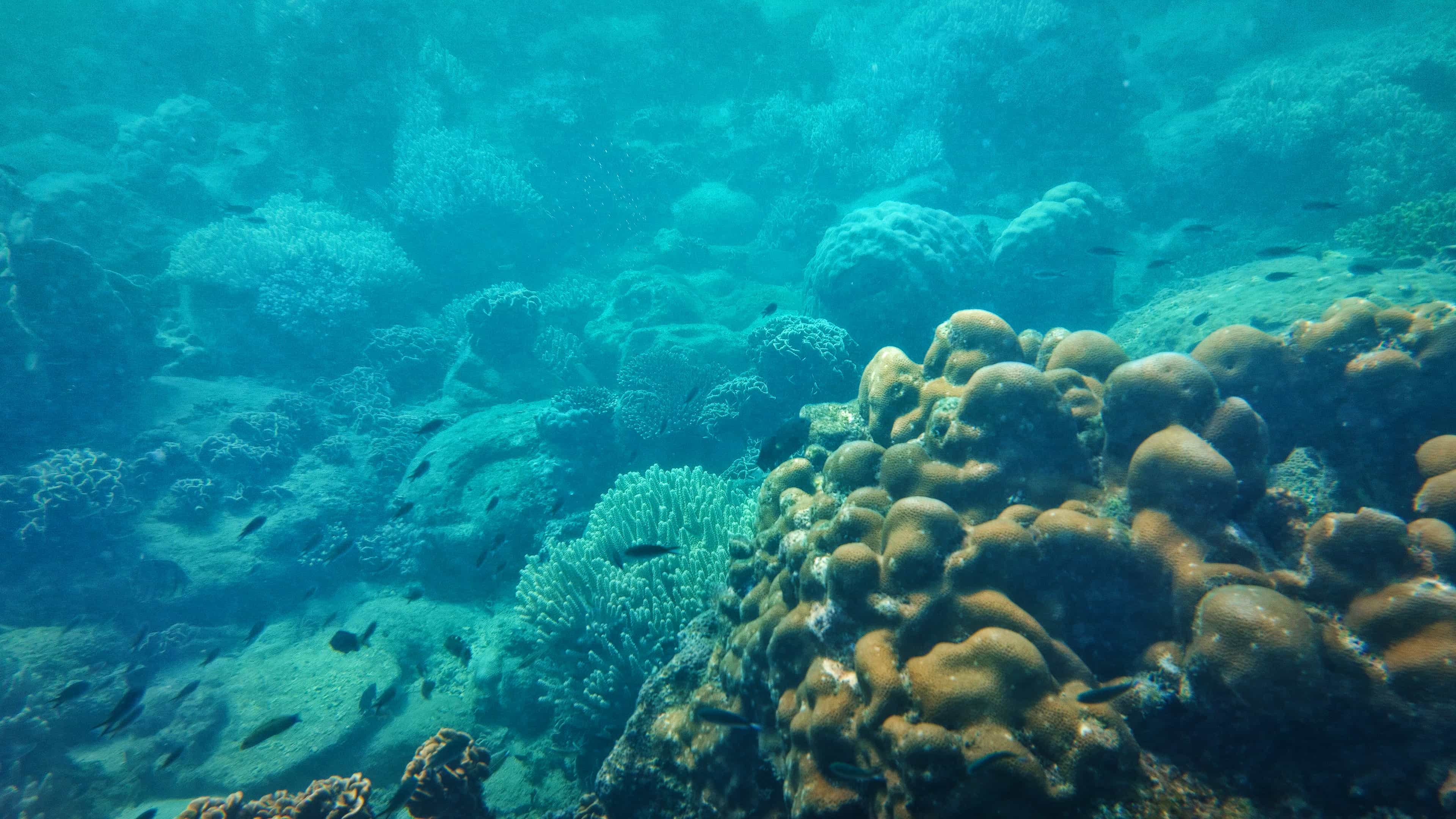 M'Pai Bay KRS: Snorkel & Beach Boat Trip - 3 Hour