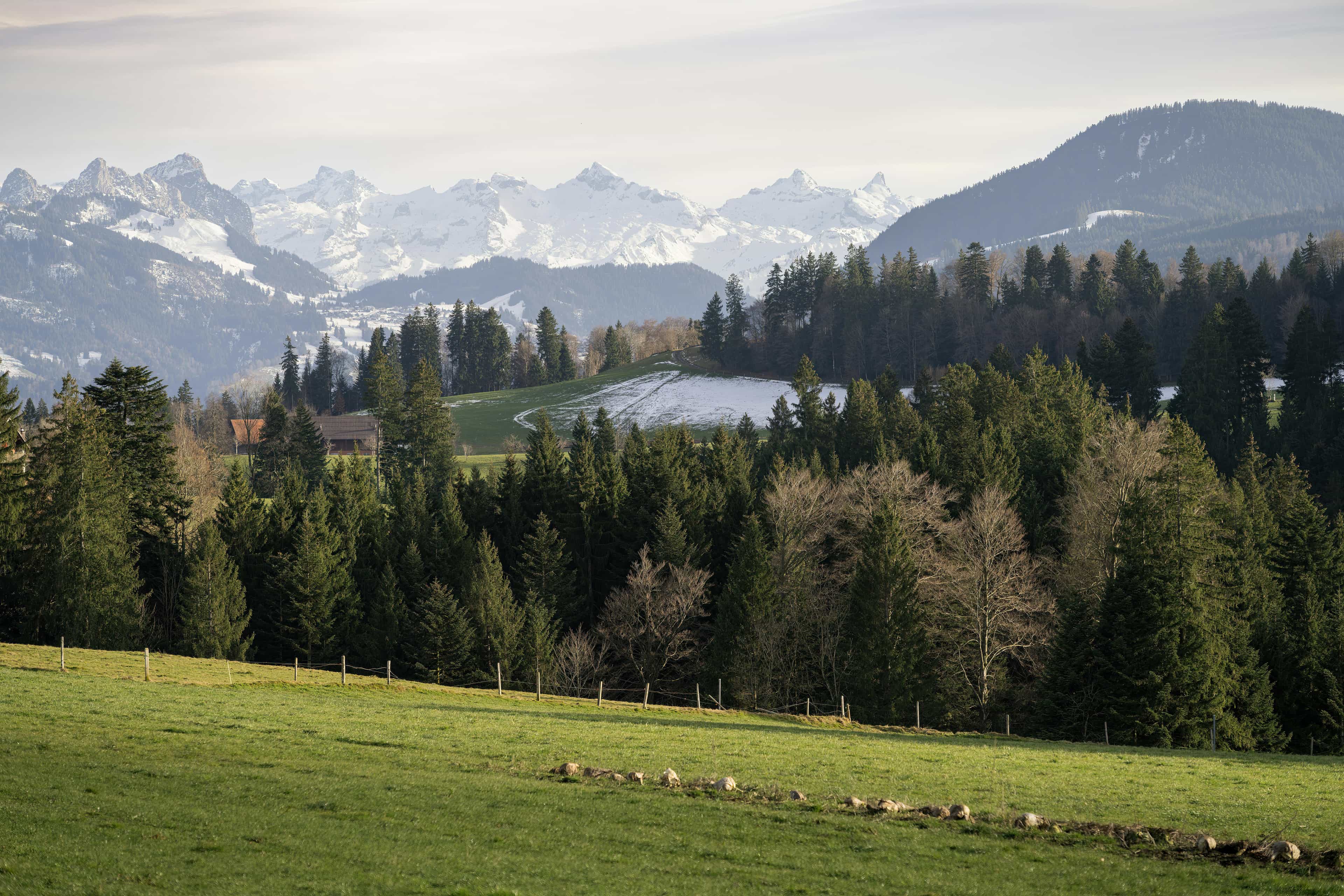 Gruyères & Lavaux Day Trip from Geneva: Chocolate, Cheese & Wine