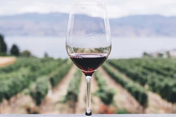 Kefalonia Wine Adventure with 18 Wine Tastings in 3 Wineries