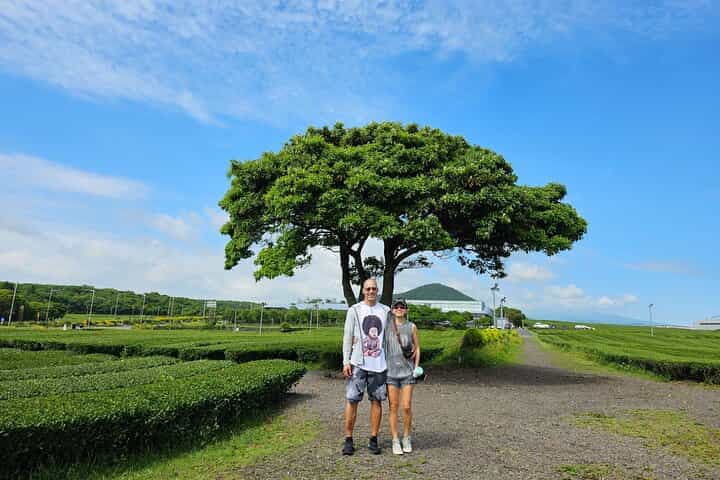 Small group Private Day Tour - West of Jeju Island