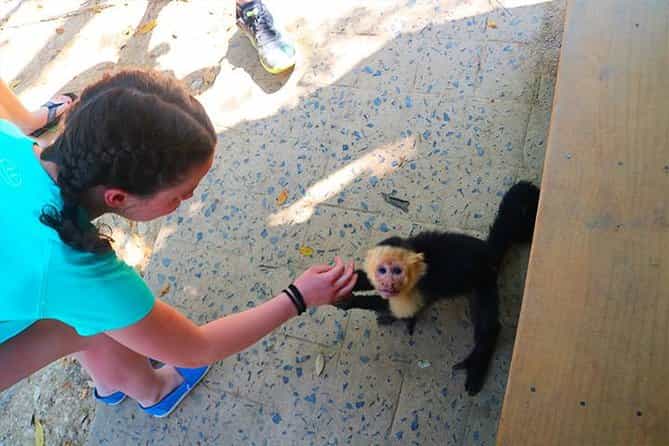 Roatan Mayan & Monkeys Zip-Line Park, Butterfly Sanctuary & Beach Adventure