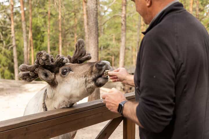 Reindeer Park Adventure
