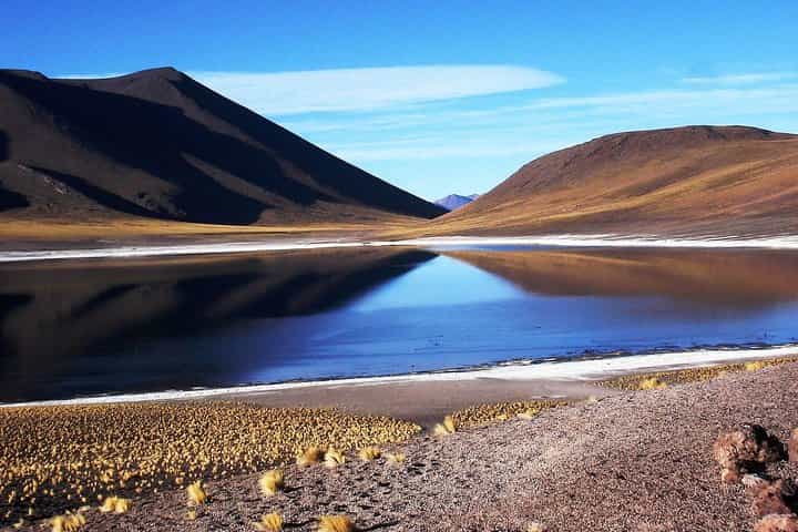 San Pedro de Atacama, Altiplanic Lagoons and Piedras Rojas - Full day