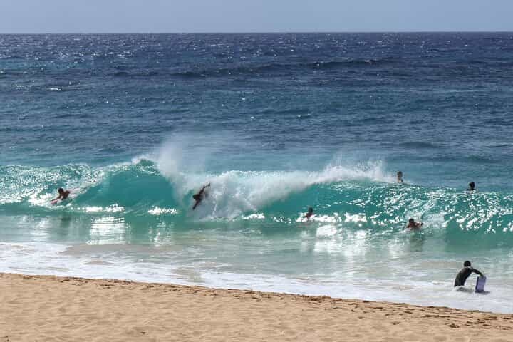 Circle Island and North Shore Half-Day Tour (NORTH LOOP)