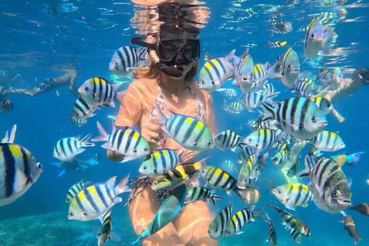 Bali Blue Lagoon Snorkeling - Lunch and Transport All Inclusive