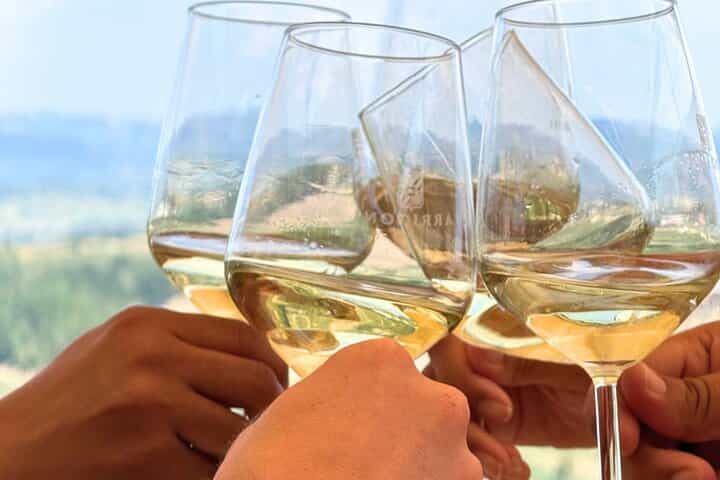 Half-day Chianti Classico Wine tour from Florence - Small Group